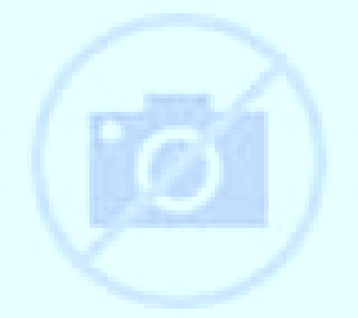 Abril 2 Requena escort