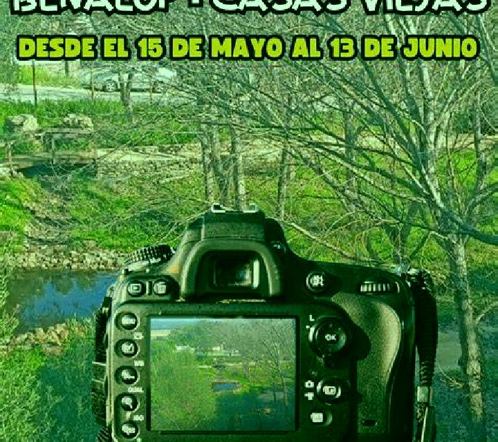 Abril Utiel escort