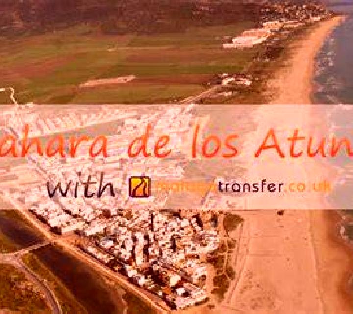 Alba 3 Alija de los Melones escort
