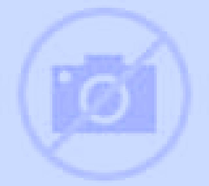 Alejandra 3 Picon escort