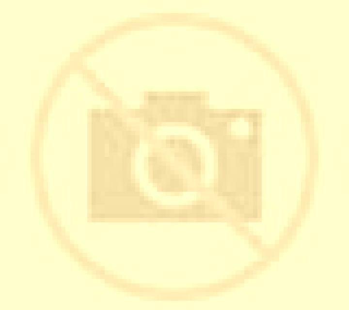 Amaya Potes escort