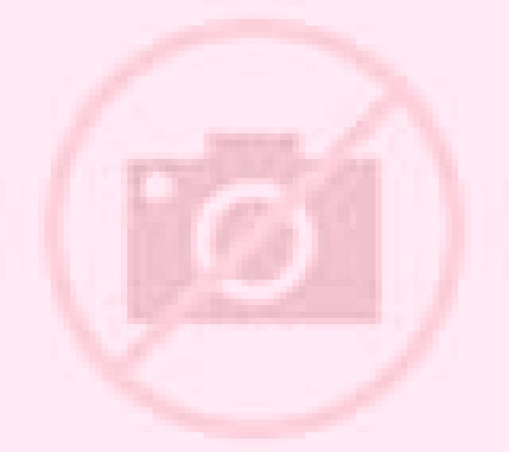 Andrea 2 Torreblanca escort