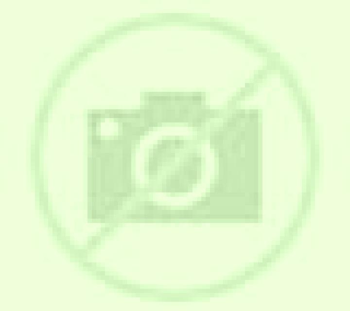 Andrea 3 Canaveras escort