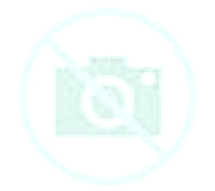 Andrea 3 Echo escort