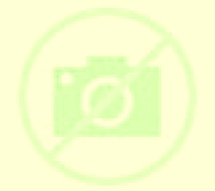 Andrea 3 Ororbia escort