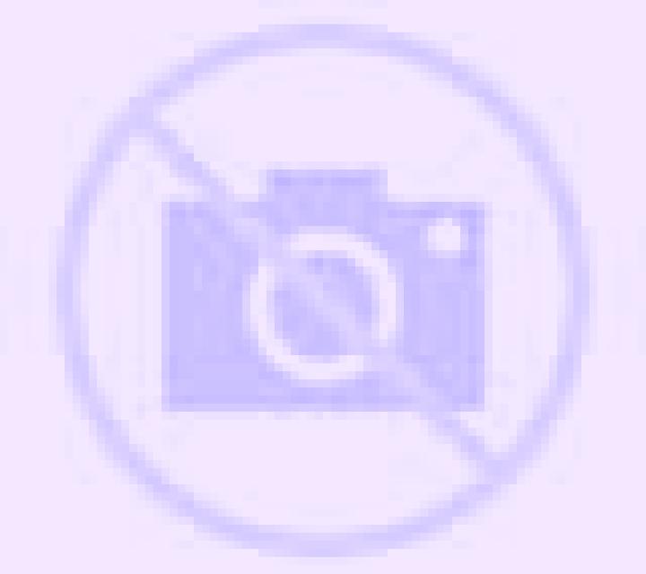 Andrea 3 Portas escort