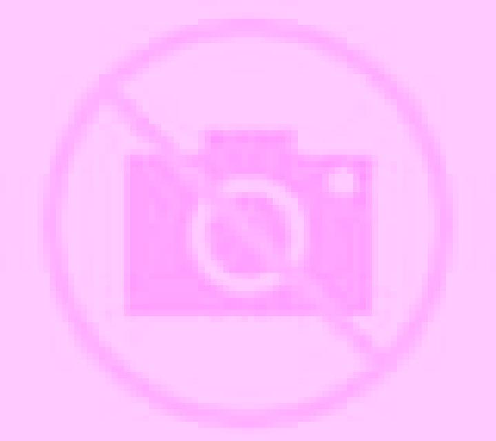 Andrea Albornos escort