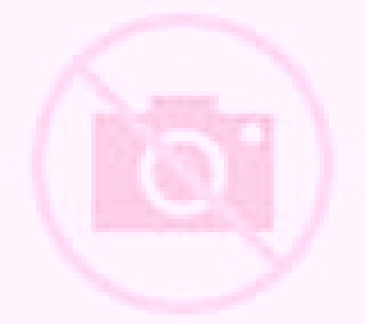 Andrea Alfamen escort