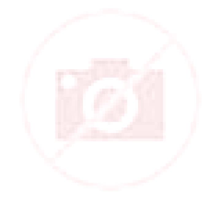 Andrea Ancin escort