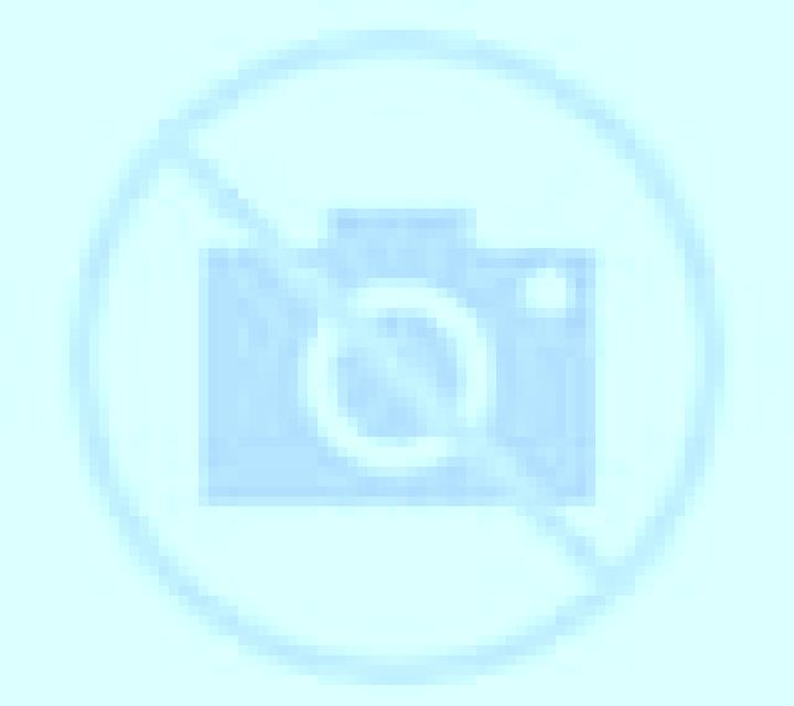 Andrea Hispanoamerica escort
