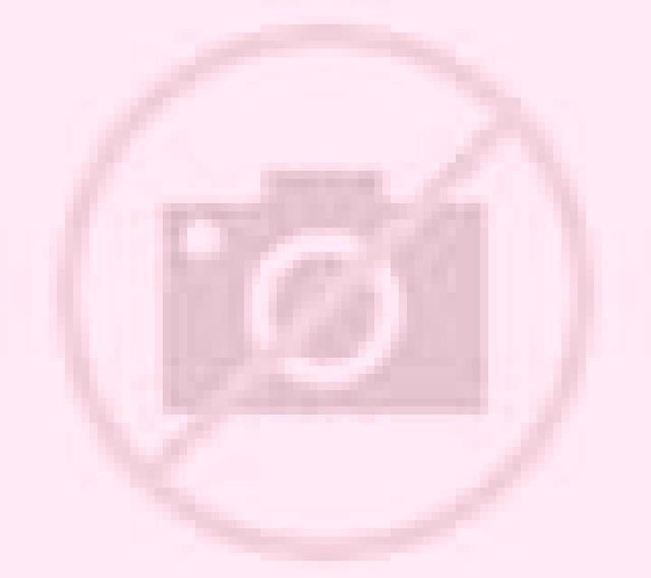 Andrea Noviercas escort