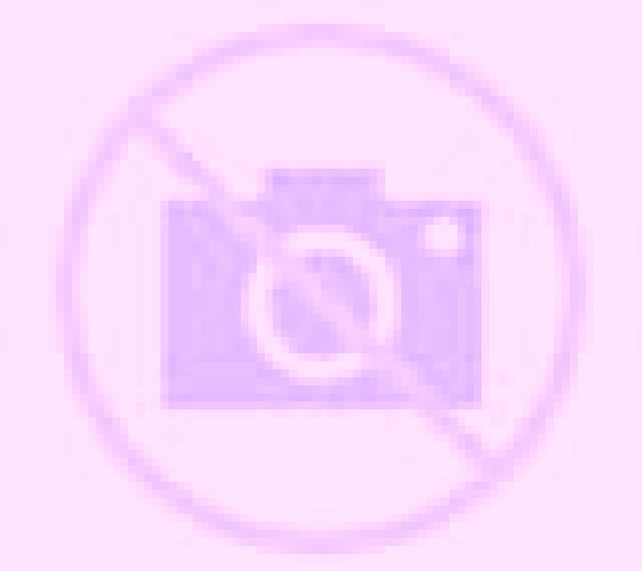Andrea Sotoserrano escort