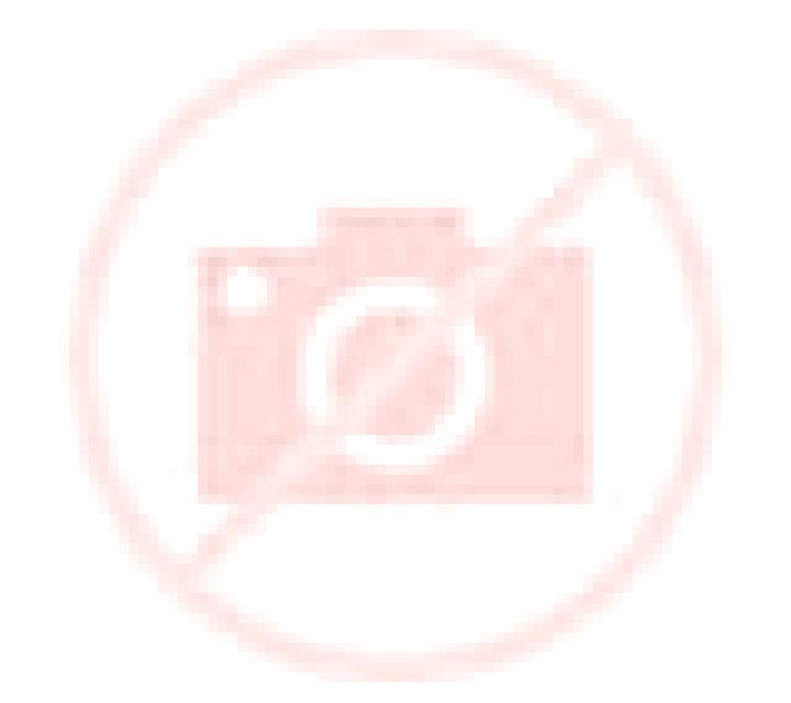 Andrea Tortuero escort