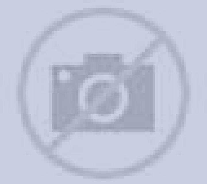 Antonella San Jose del Valle escort