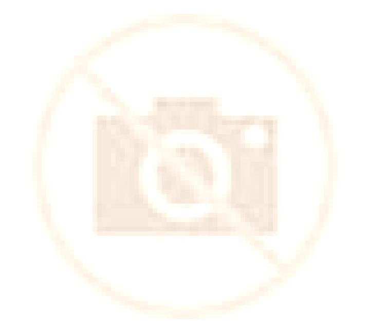 Antonella Teia escort