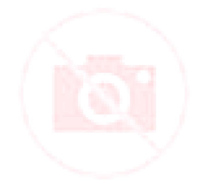 Beatriz 3 Camporrobles escort