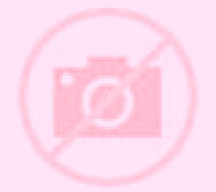 Beatriz Solorzano escort