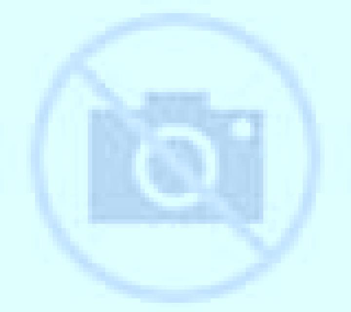 Beatriz Tiedra escort