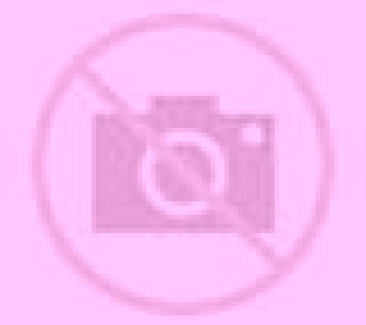 Beatriz Torres de Berrellen escort