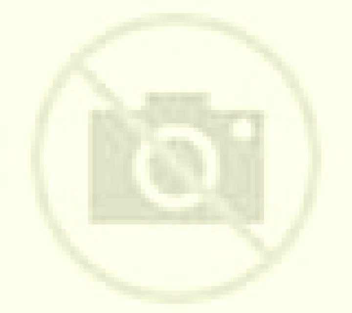 Camila 3 Sarratella escort
