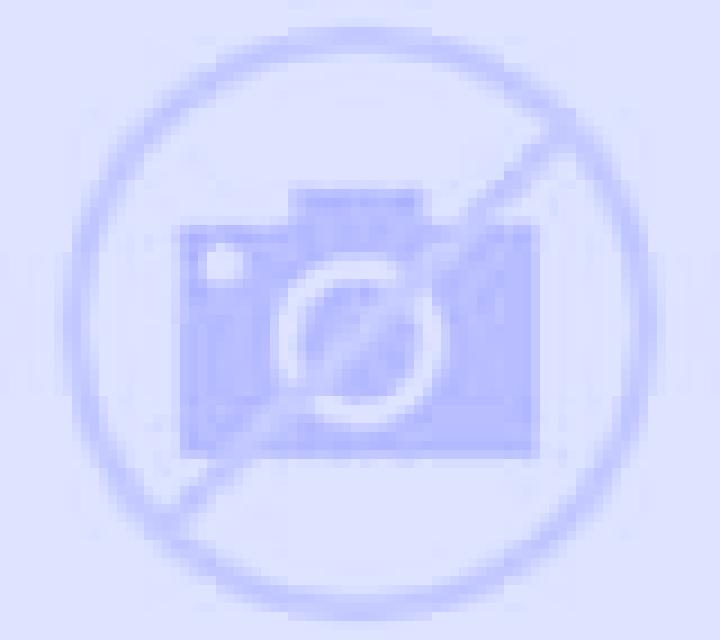 Camila Bustillo de la Vega escort