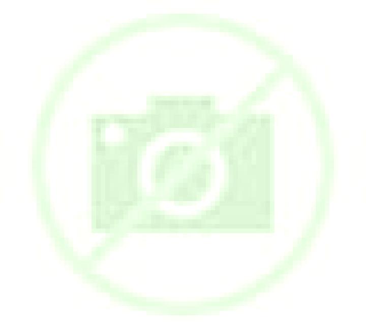 Carla 3 Almudaina escort