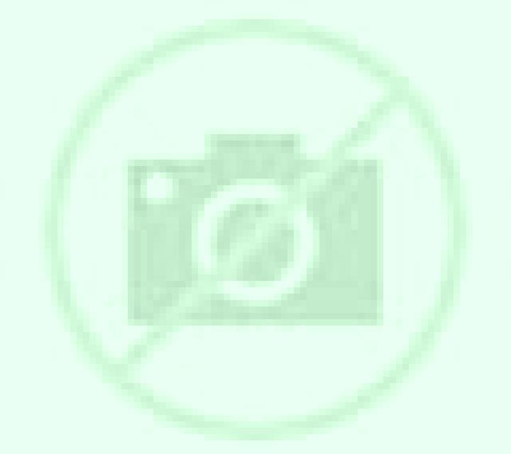 Carmen Tarrega escort