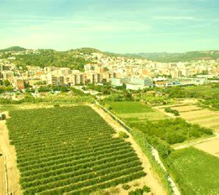 Cayetana 3 Hoyos del Espino escort