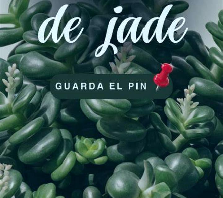 Cielo Alhama de Granada escort