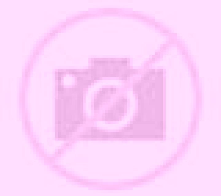 Cielo Lucena del Cid escort
