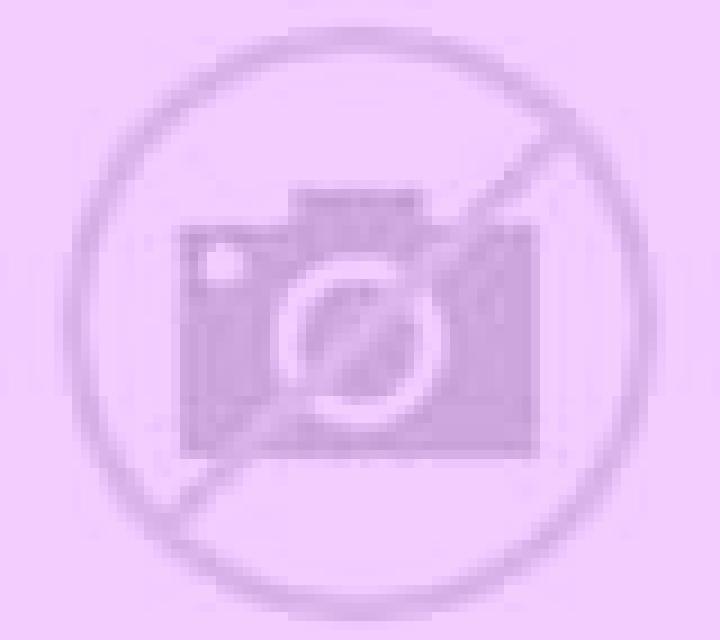 Claudia Castelldans escort