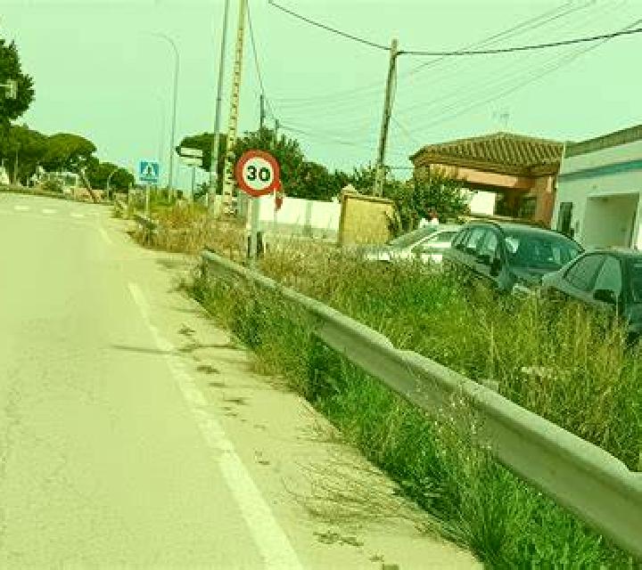 Claudia Visiedo escort
