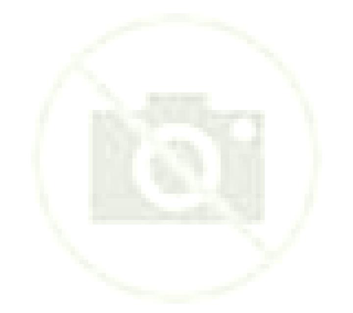 Cristina 2 Cogollos de Guadix escort