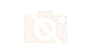 Daniela 2 Angles escort