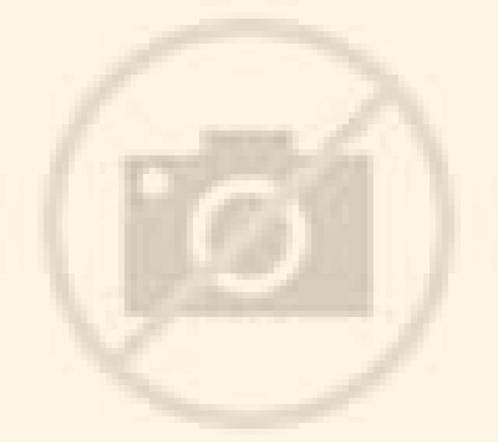 Daniela 3 Alforja escort