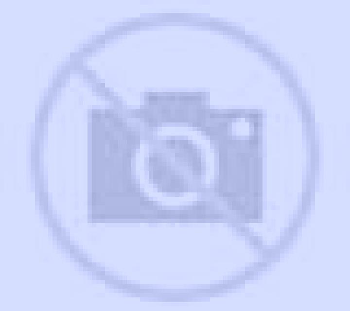 Daniela Torrijo del Campo escort
