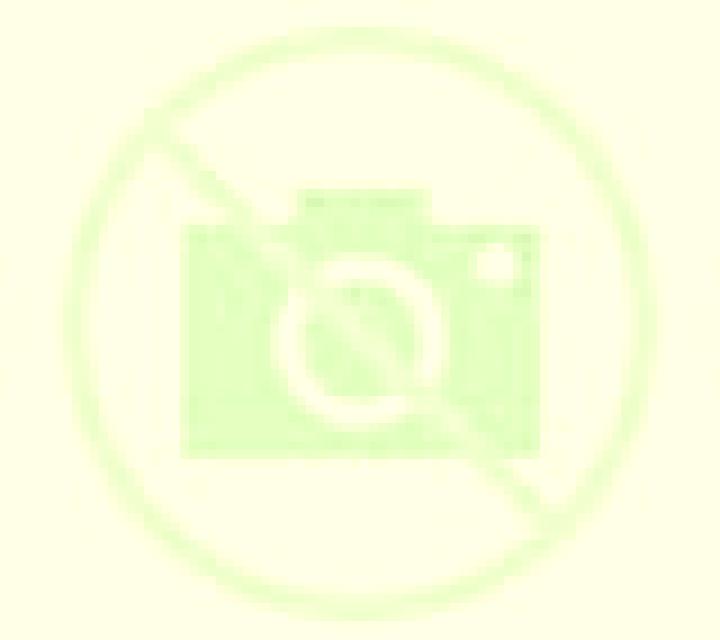 Daniela Villeguillo escort