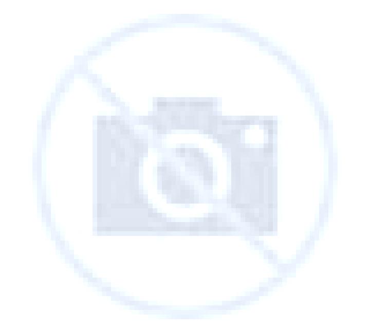 Diana 3 Busto de Bureba escort