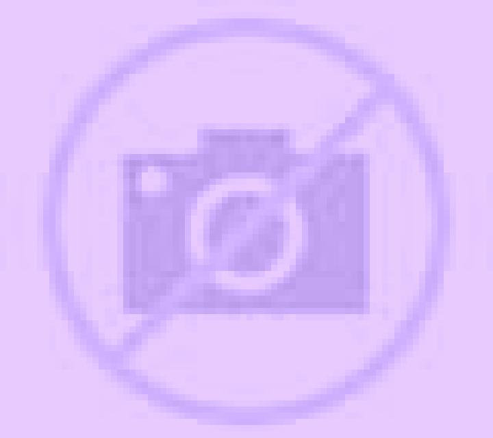 Diana Puerto del Rosario escort