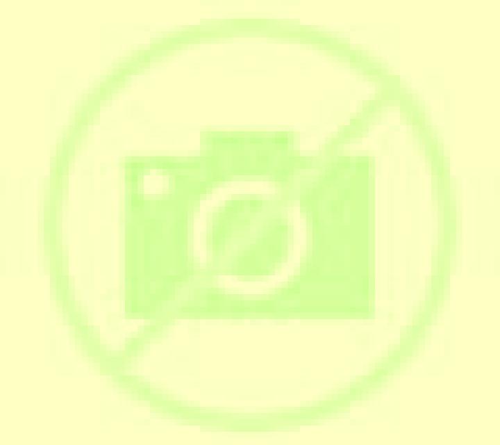 Elena Frades escort