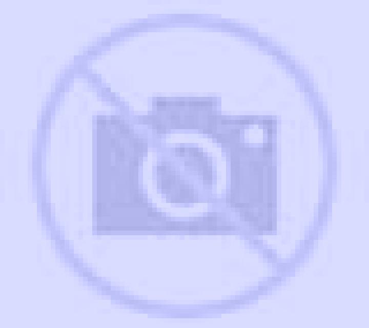 Elena Loscorrales escort