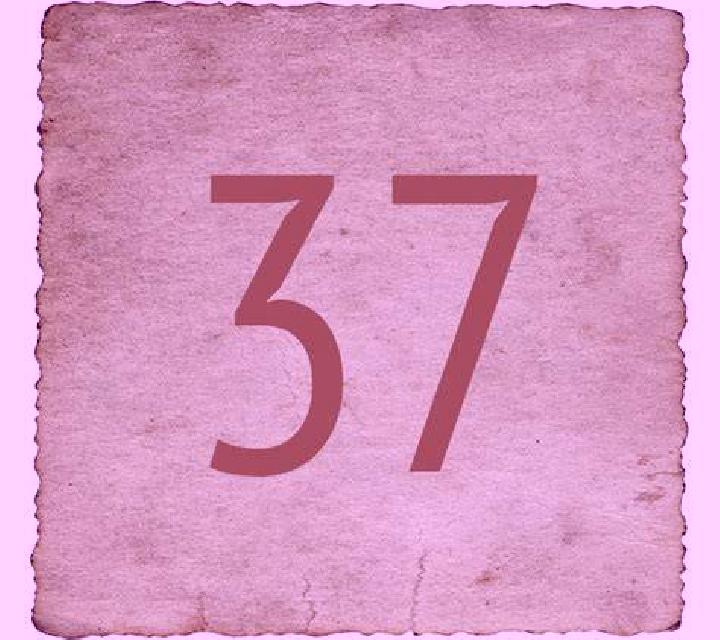 Estrella 2 Artajona escort