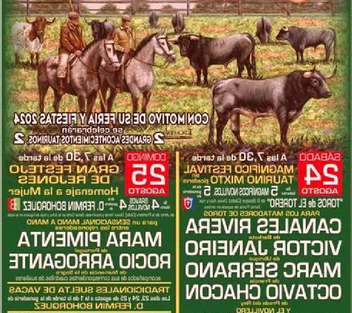 Estrella 2 Azkoitia escort