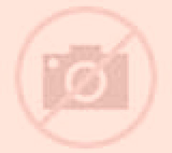 Estrella Bicorp escort