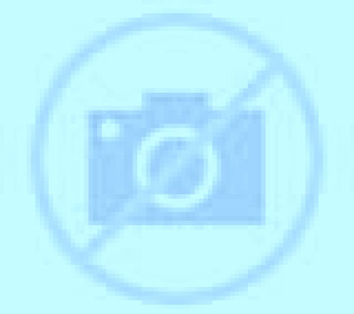Florencia 2 Orkoien escort