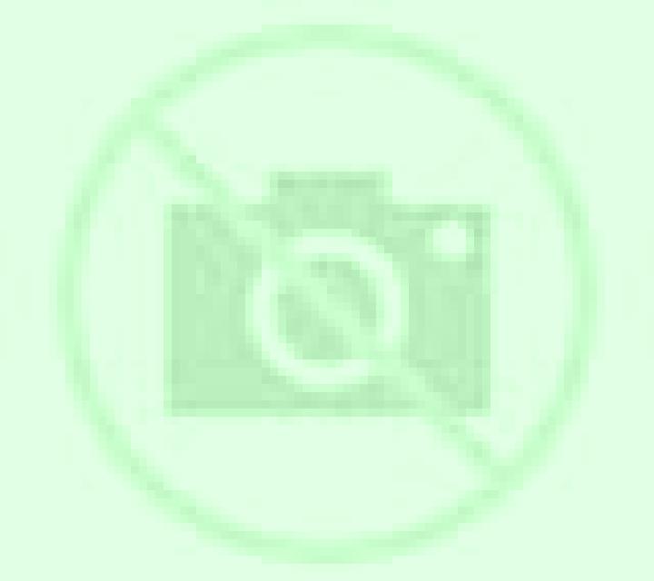 Florencia 3 Sellent escort