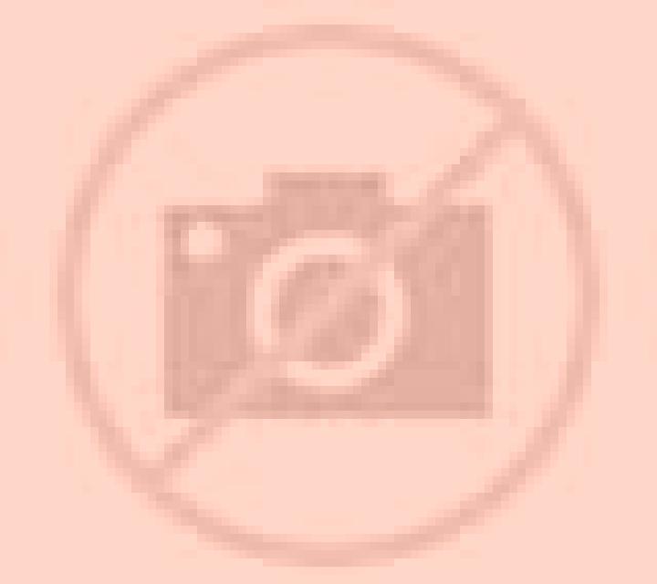 Giulia 2 Bustillo de la Vega escort