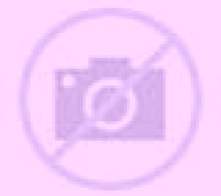 Irene 2 Mucientes escort