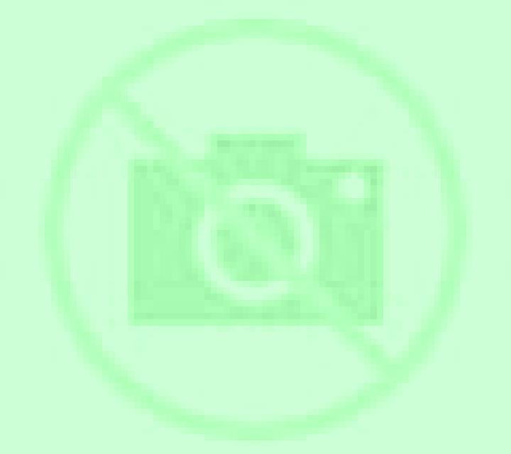 Irene 3 Albacete escort