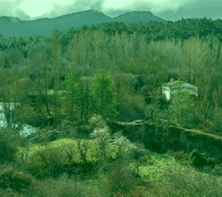 Irene Belalcazar escort